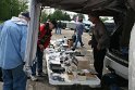 IMG_2904