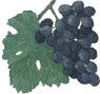 Sarbatoarea vinului